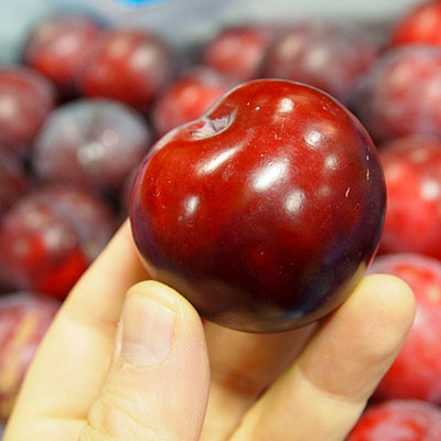 Ruby Crunch Erik Fidanı